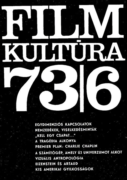 A Filmkultúra című folyóirat évtizedeken keresztül magas szellemi értéket képviselő elméleti, történeti és esztétikai, kritikai tárgyú írásokon keresztül tájékoztatta a mozgókép iránt érdeklődőket a magyar és egyetemes filmművészetről. 