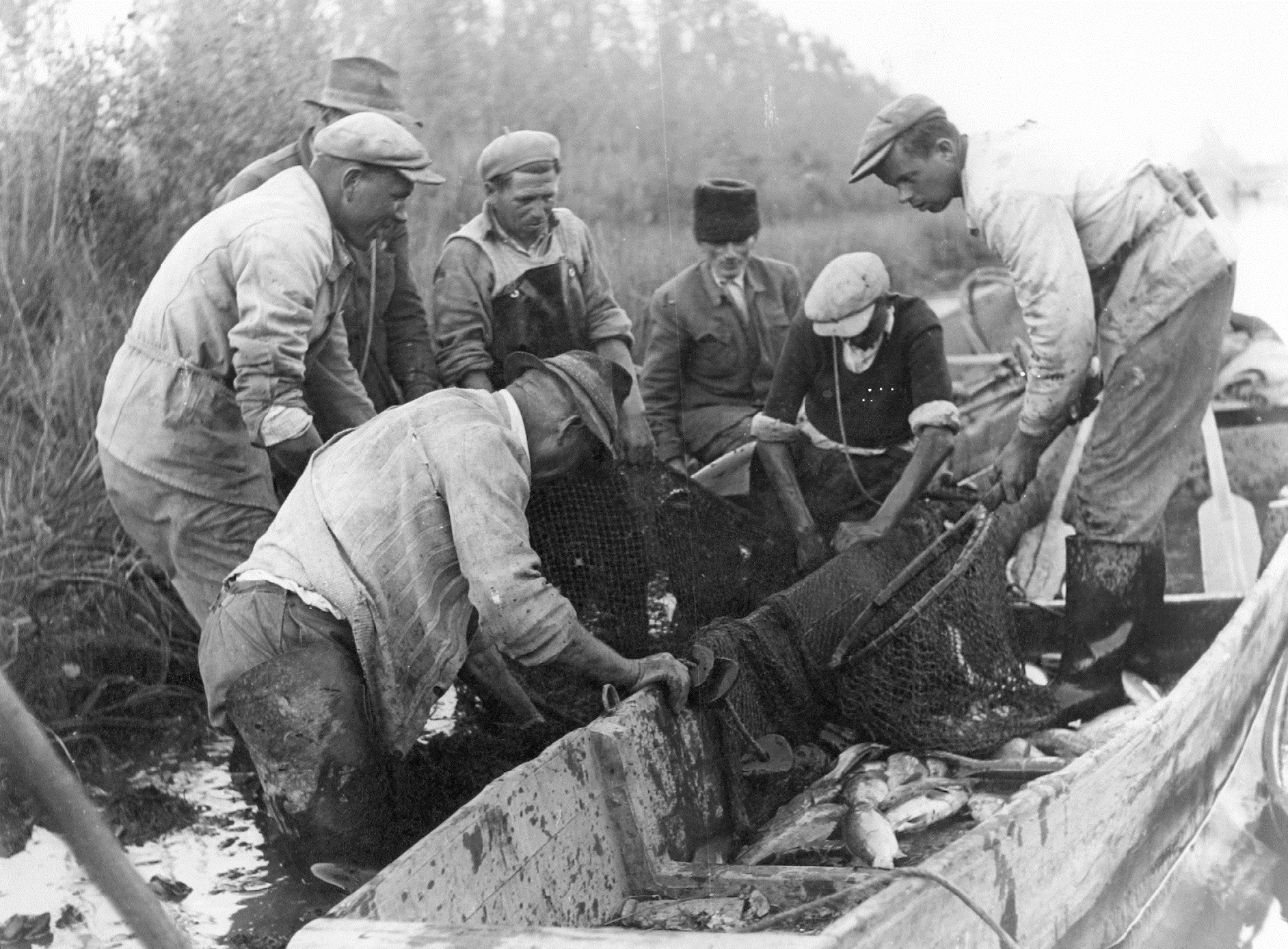 „A magyar halászember az igazi kemény emberek közül való; marka az evezőtől, a kötéltől cserepes, akár a vas. Rá se hederít az időre. Bőrig ázva nem is gondol a szárítgatásra, mindaddig, amíg nem végezte dolgát.” (Herman Ottó)